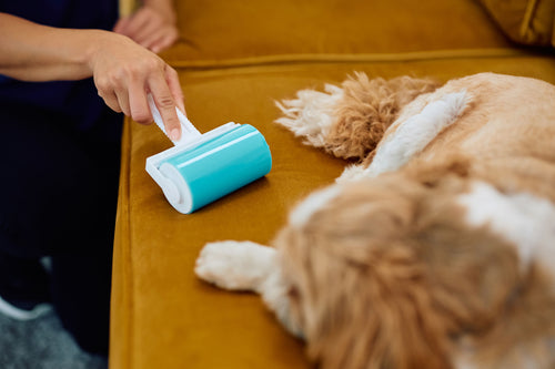 Reusable Pet Hair Remover